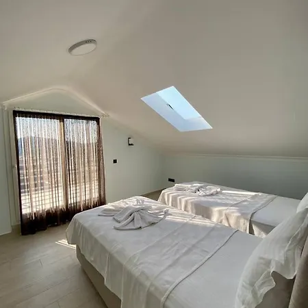 Lidya Villa *